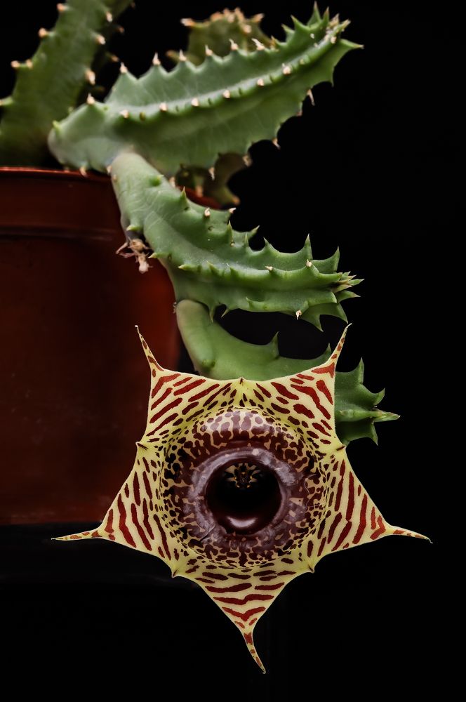 Photograph by Пономарев Илья