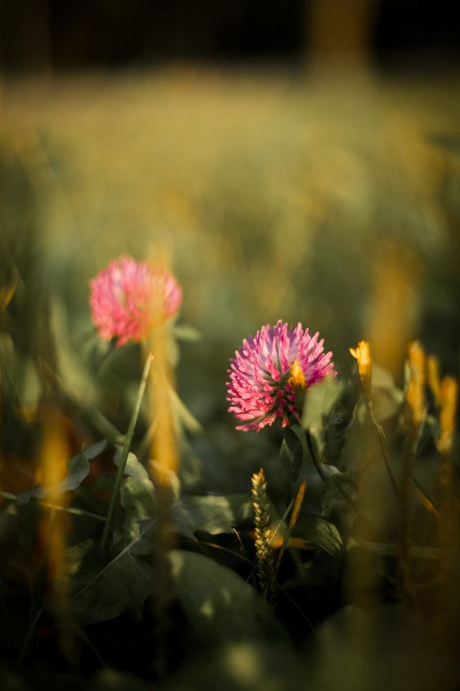 Фотография автора Евгения