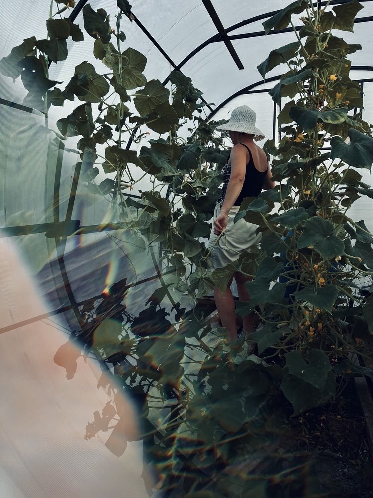 Photograph by Anna Ediger