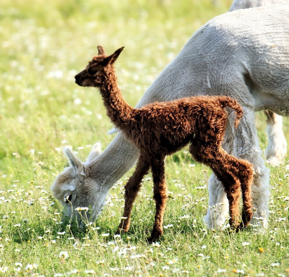 Photograph by Olga Asson