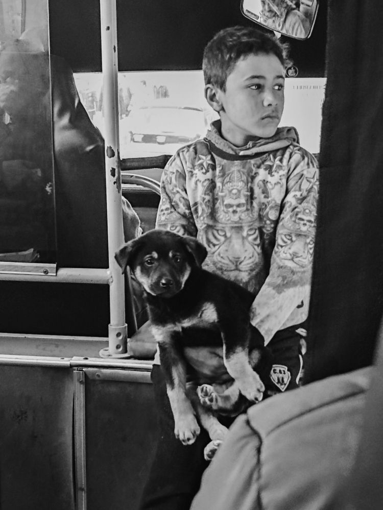 Фотография автора Youssef Ahmed