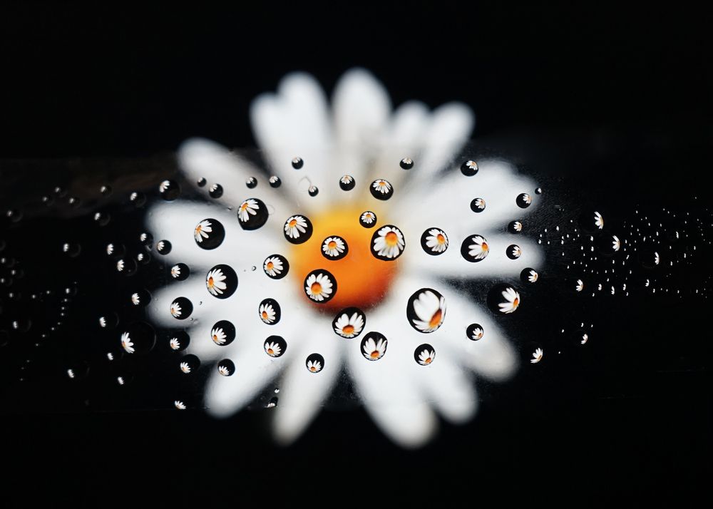 Photograph by Татьяна Дмитриева