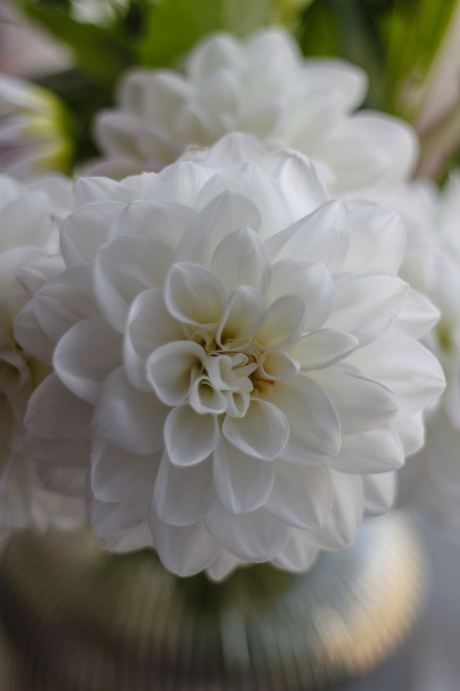 Photograph by Anna Dubinina