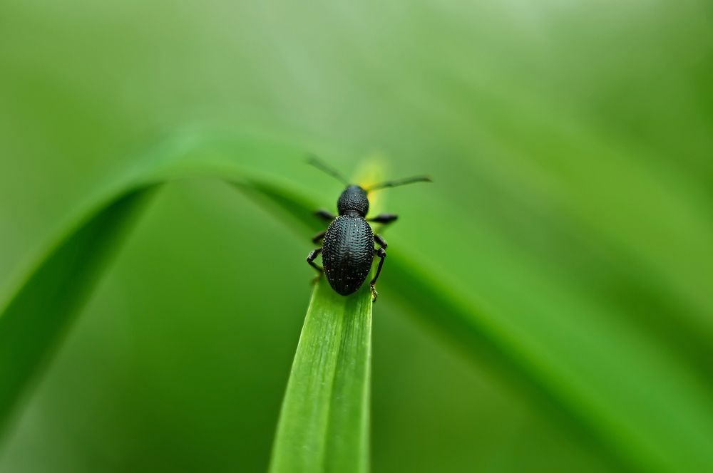 Photograph by Макуха Ольга