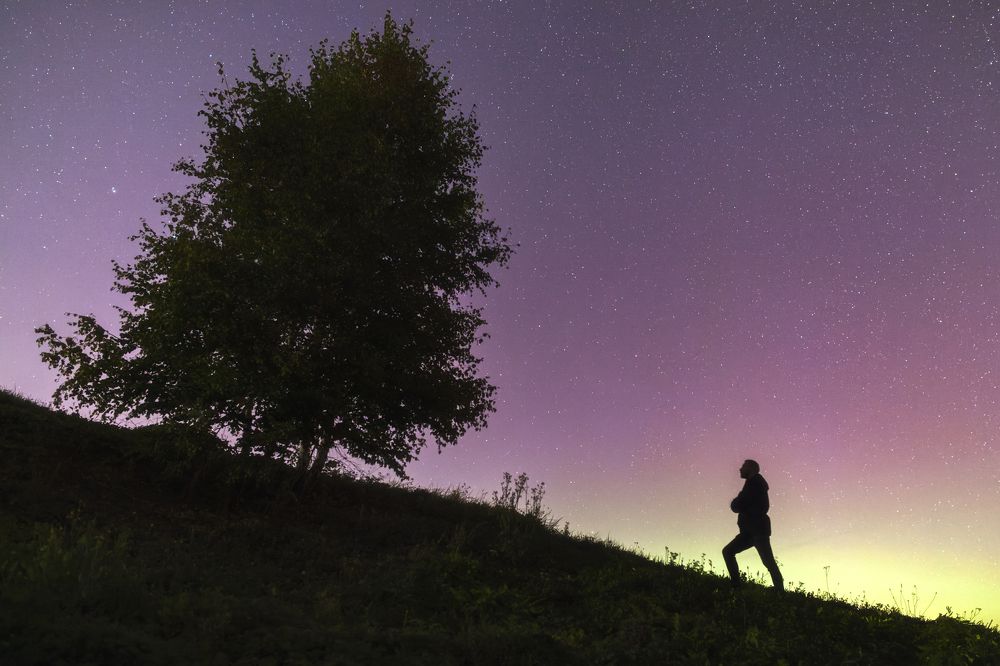 Photograph by Владимир Портуаров