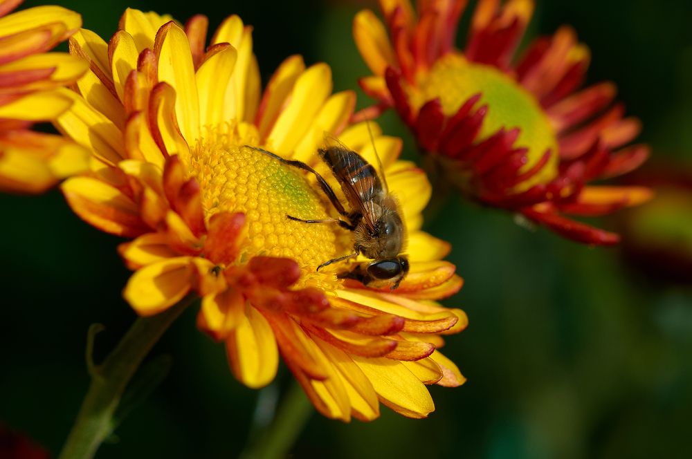 Photograph by Макуха Ольга