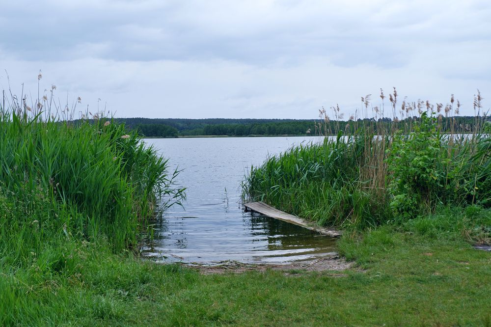 Photograph by Юлия Гузень