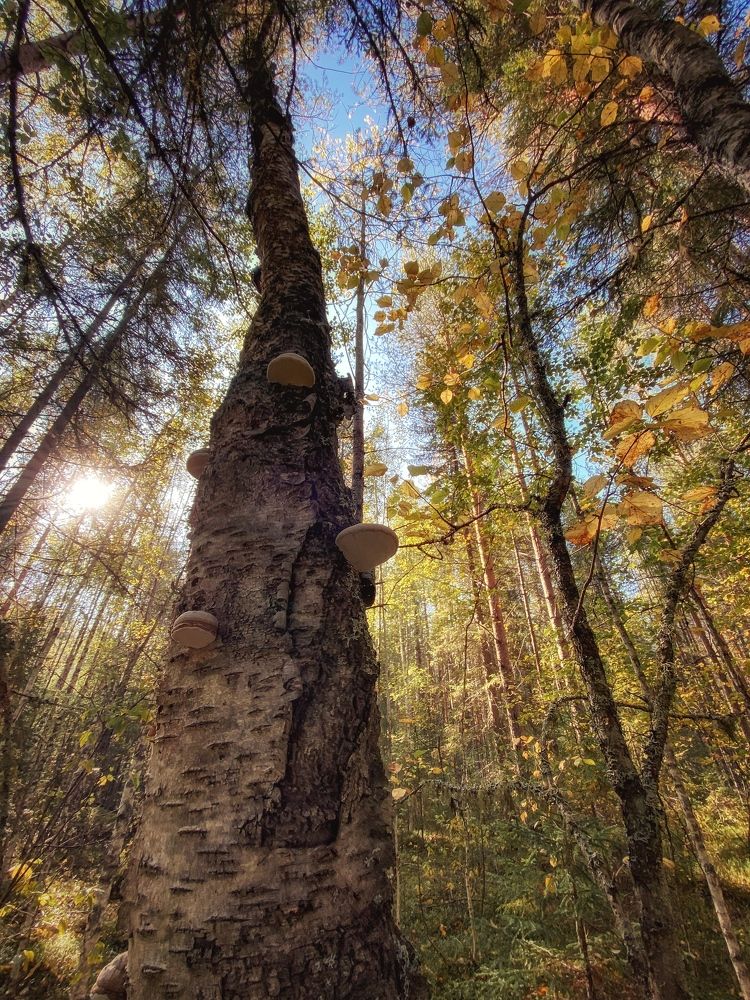 Фотография автора Евгения Никишина