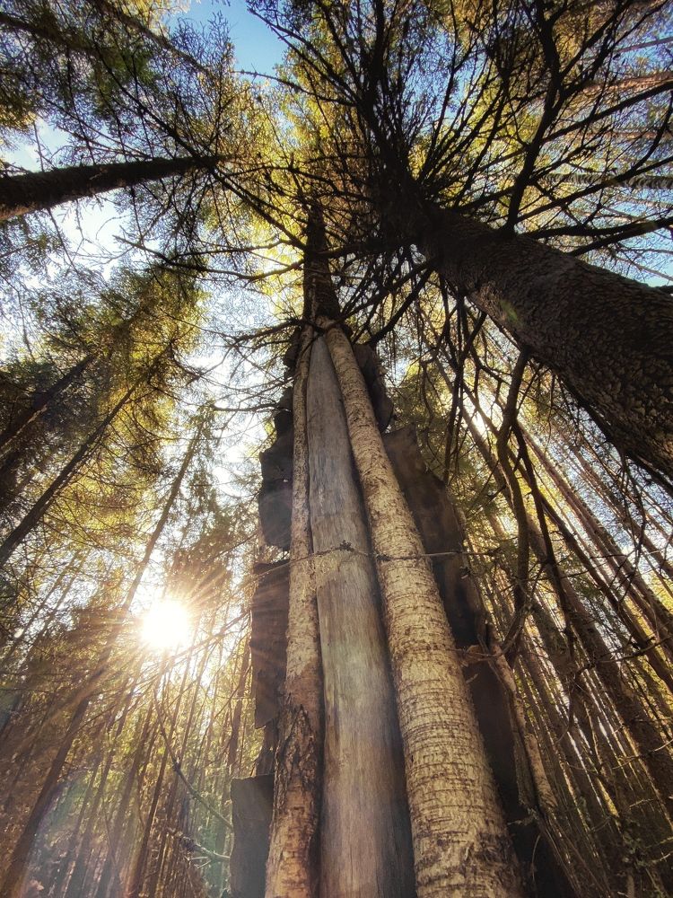 Фотография автора Евгения Никишина