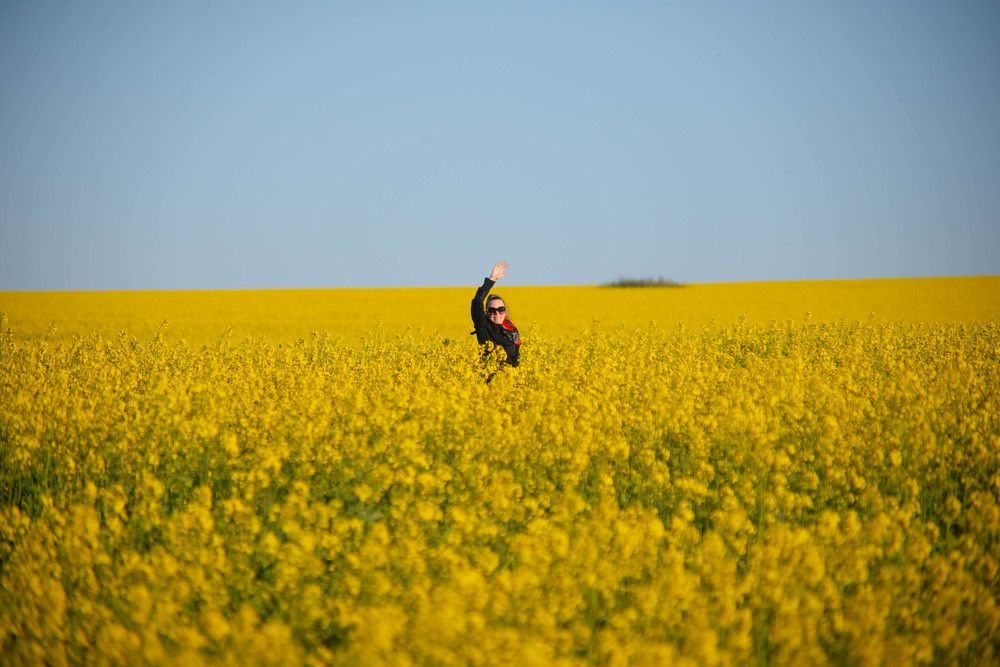 Фотография автора Midhunkrishna Kandampully