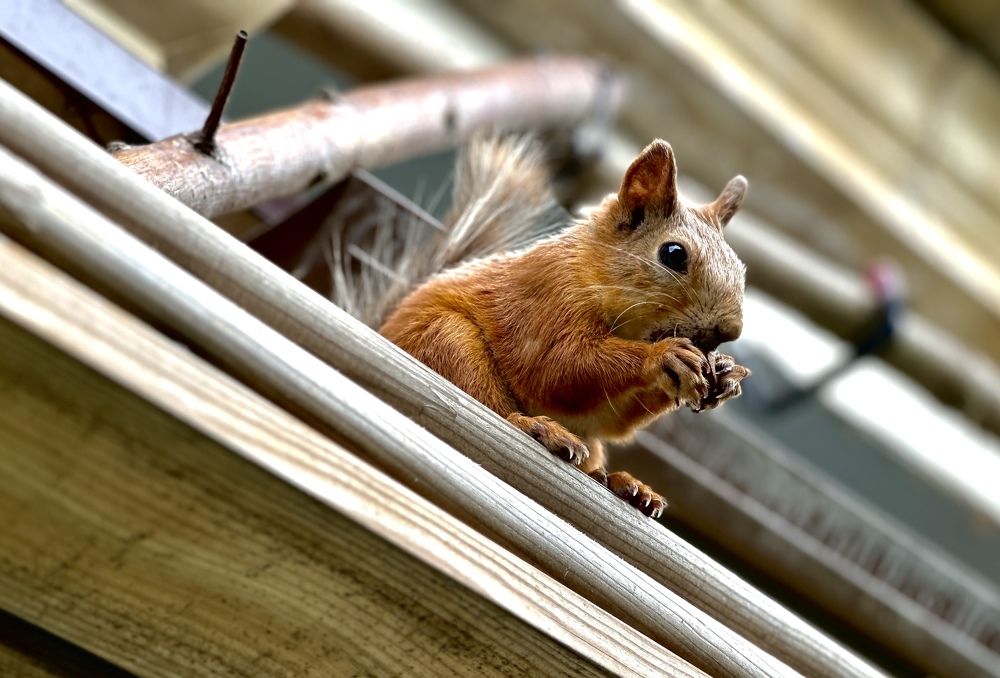 Photograph by Алина Еникеева