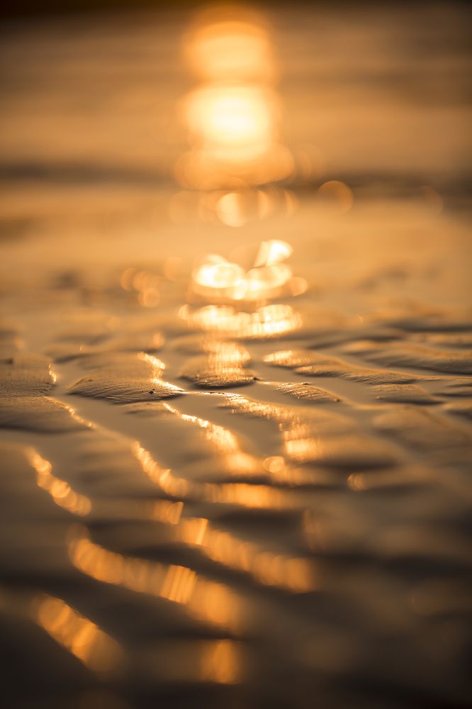 Photograph by Tetyana Vysochanska