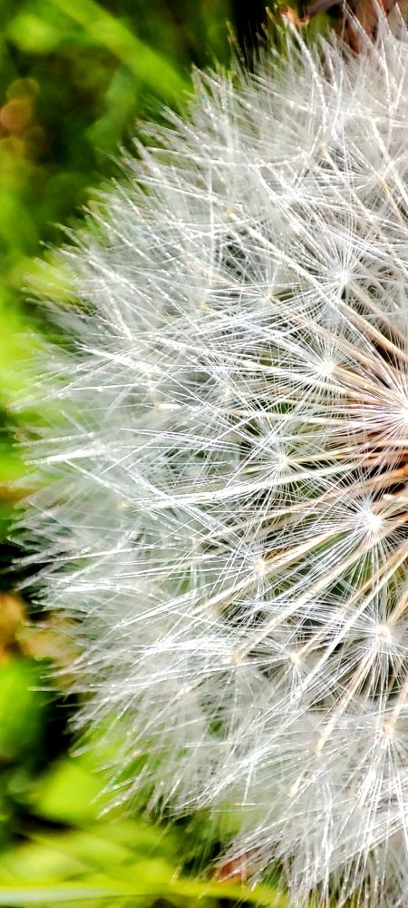 Photograph by Евгений Захаров