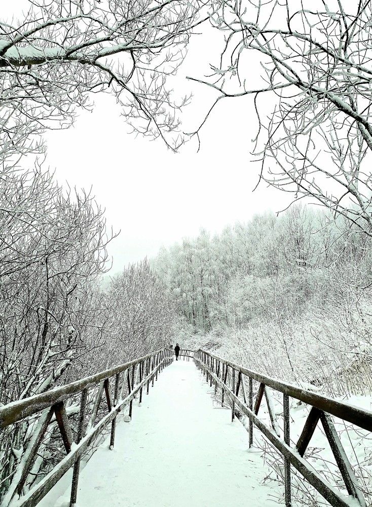 Photograph by Яна Галимуллина