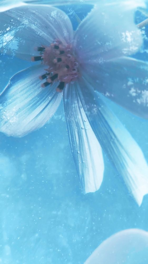 Photograph by Ольга Рыкова