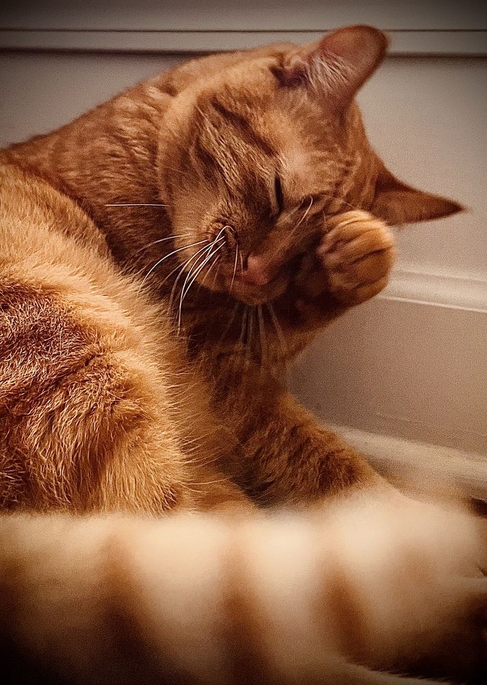 Фотография автора Olga Kichkaila