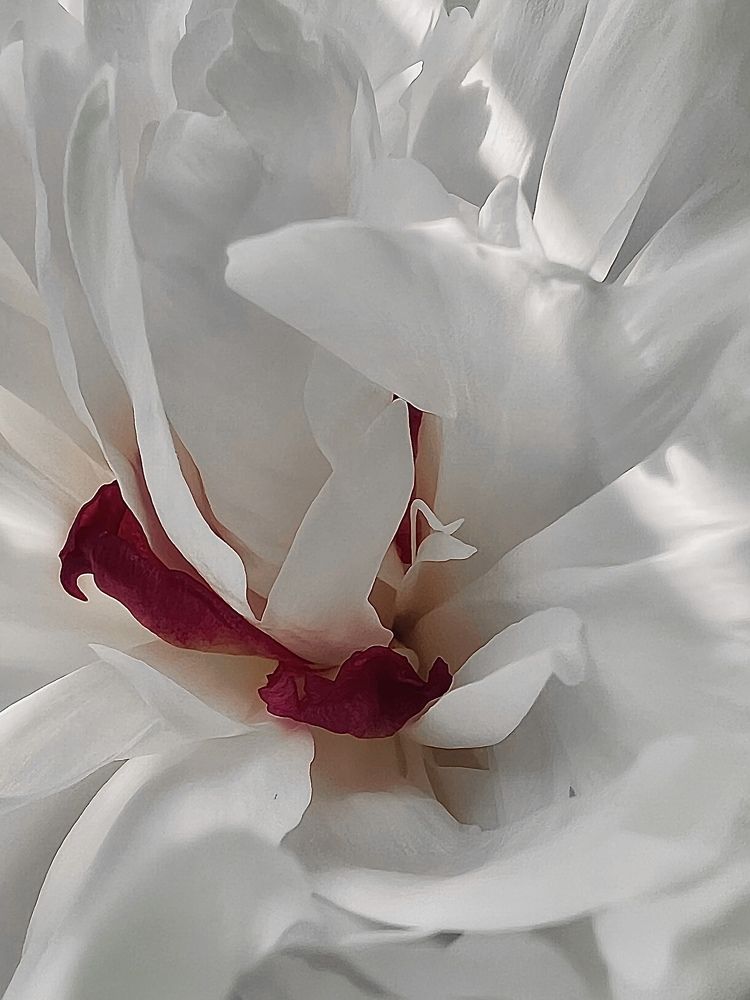 Фотография автора Olga Kichkaila