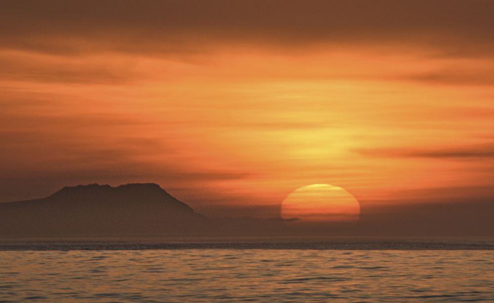 Photograph by Noe Castro