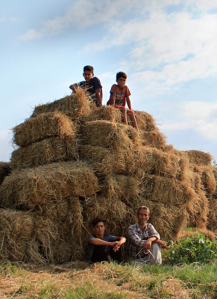 Photograph by hasan jouri