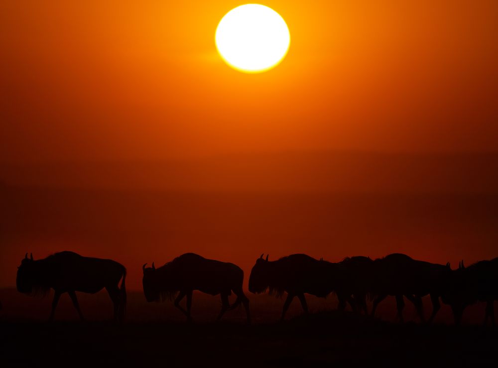 Photograph by Goutham Ganesh Sivanandam