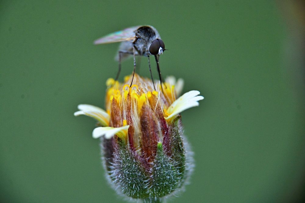 Photograph by FRANCISCO FERREIRA