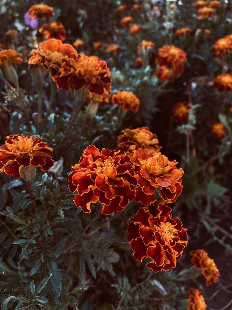 Photograph by Наталья Душакова