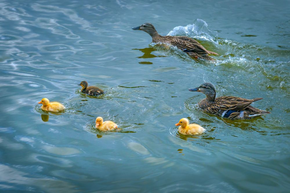 Photograph by Natalia