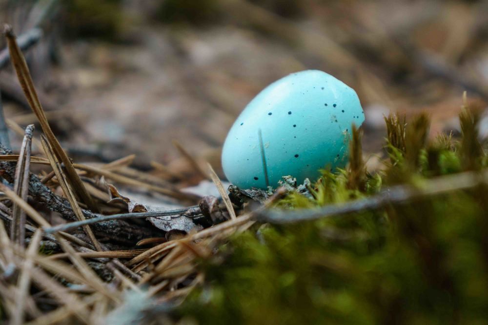 Photograph by Дарий Остахов