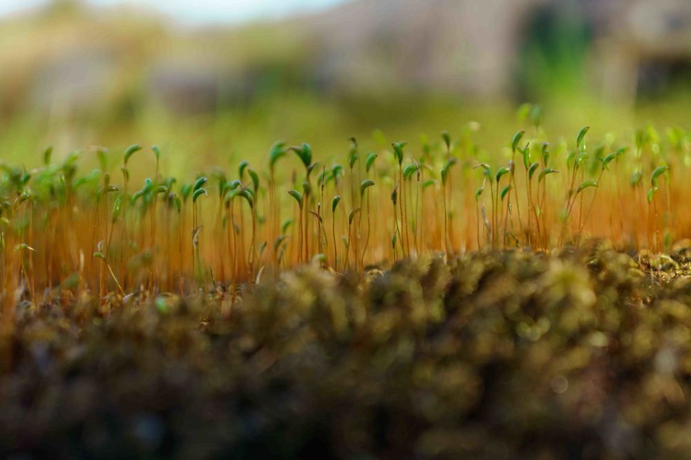 Photograph by Дарий Остахов