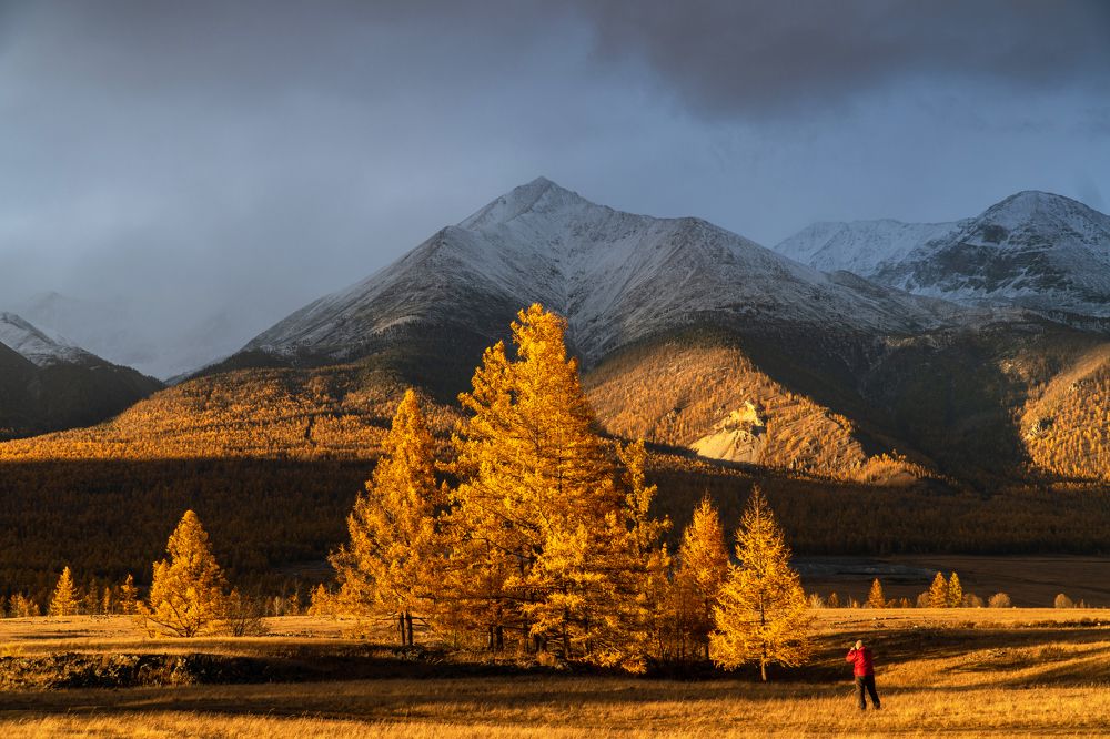 Фотография автора Михаил Тильпунов