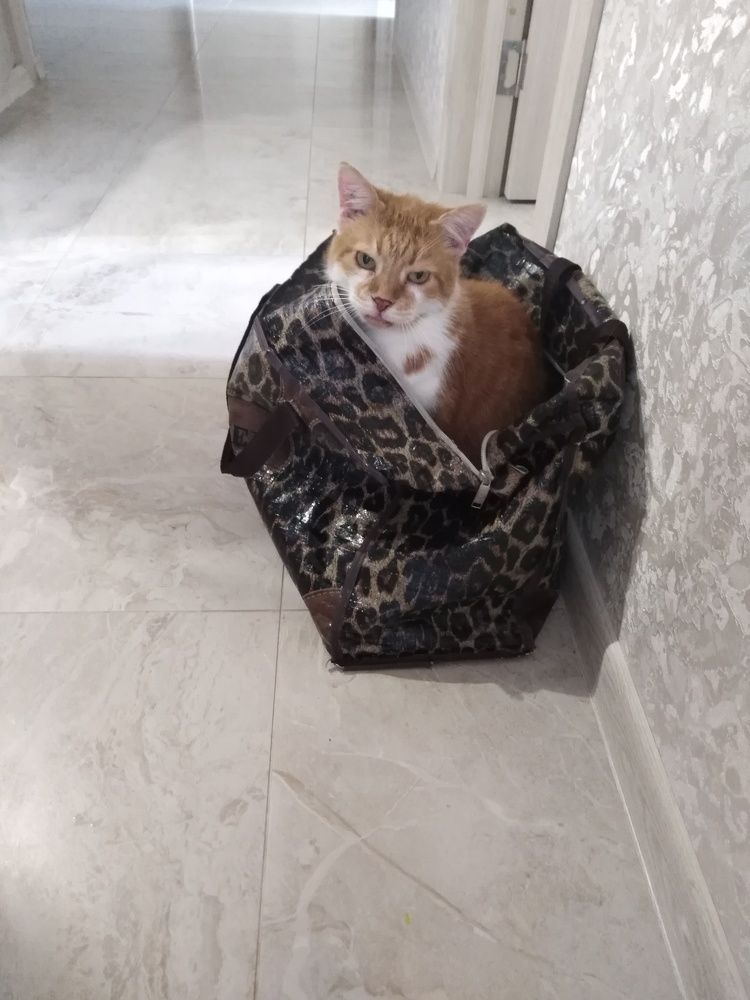 Photograph by Янина Милош