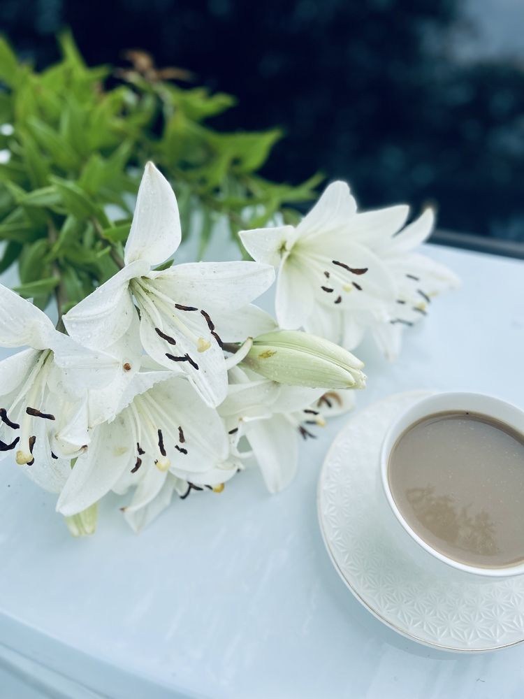 Photograph by Наталья Душакова