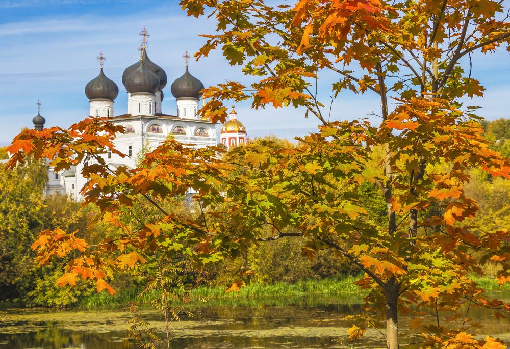 Клены выкрасили город