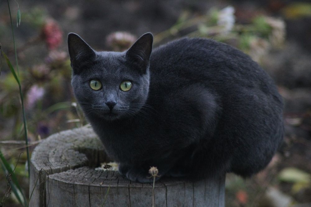 Photograph by Анна Восковых