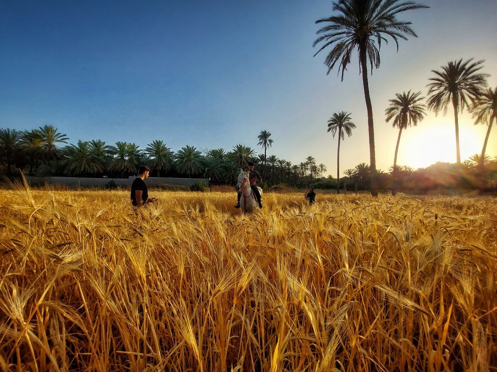 Photograph by Aref rafiepour