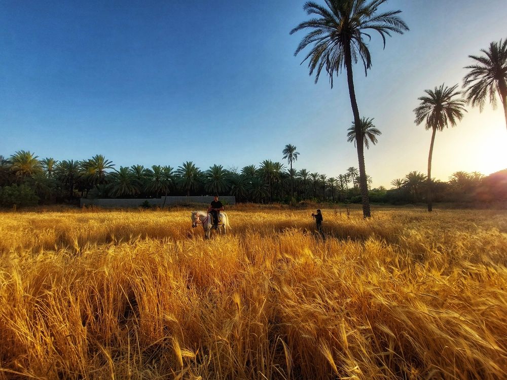 Photograph by Aref rafiepour