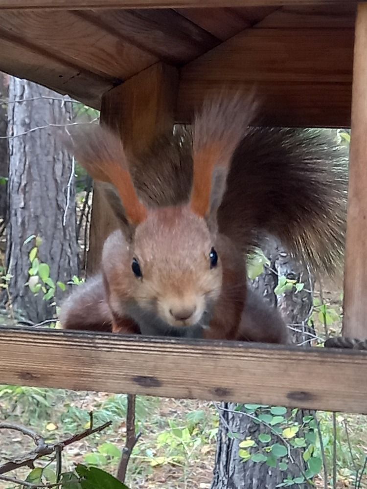 Photograph by Андрей Садчиков