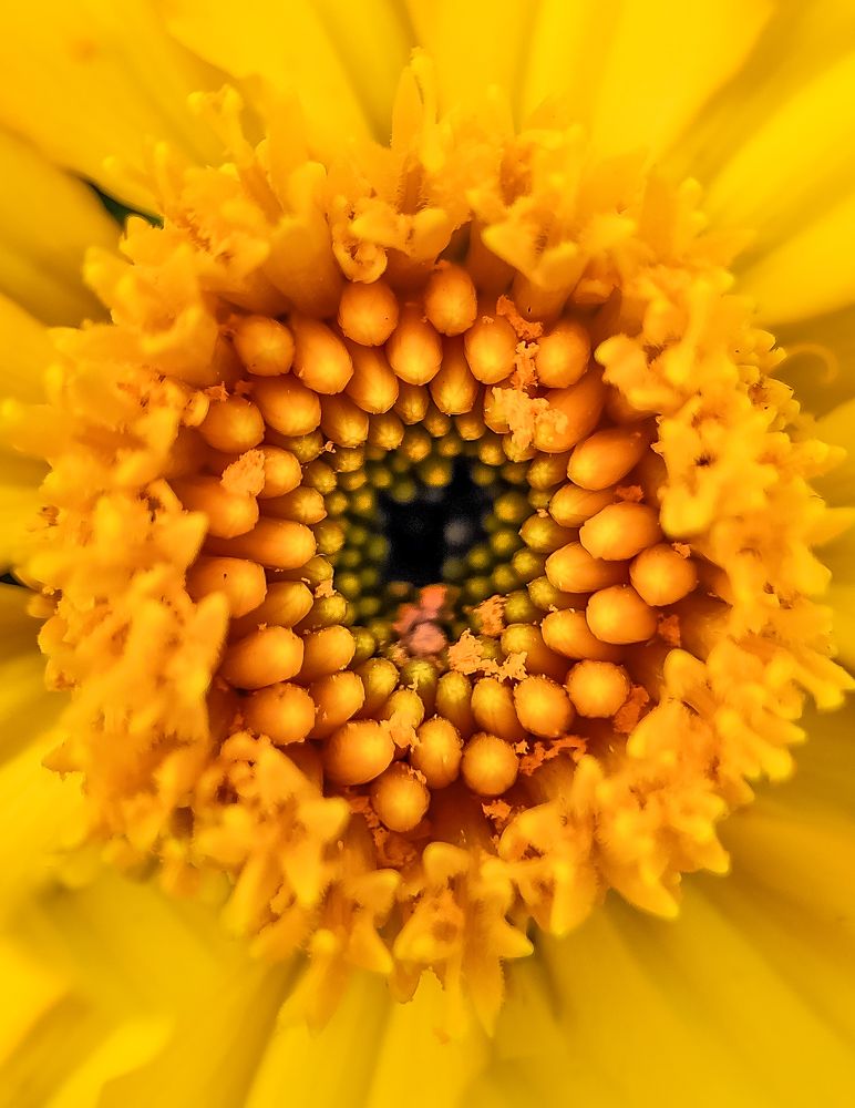 Photograph by Soaham Sur