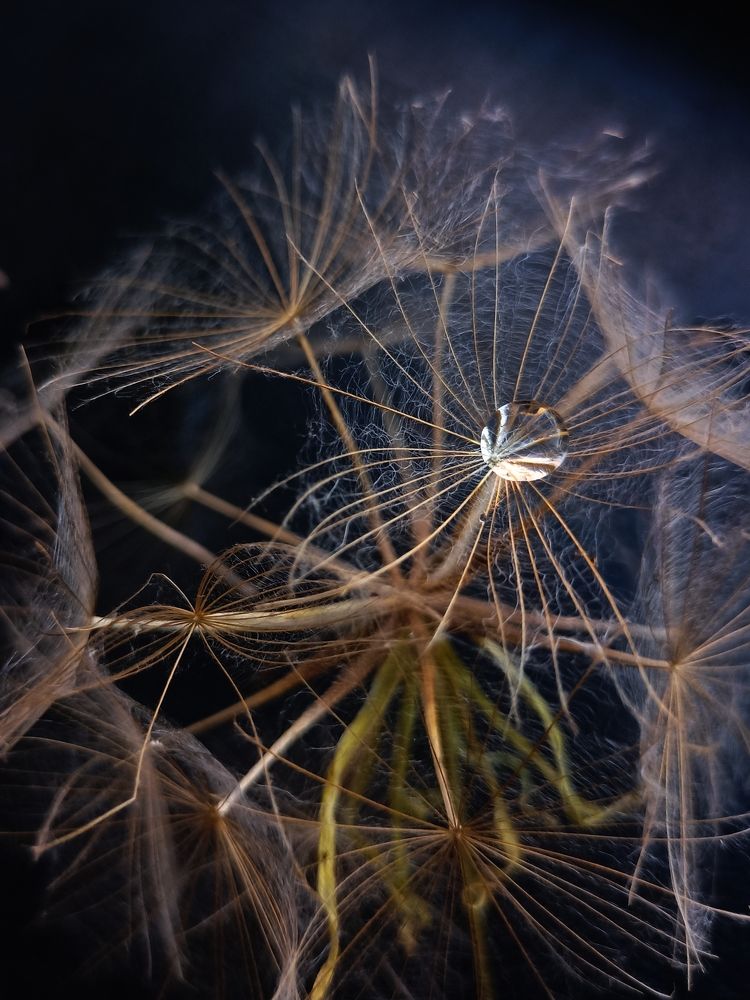 Фотография автора Татьяна Шахова