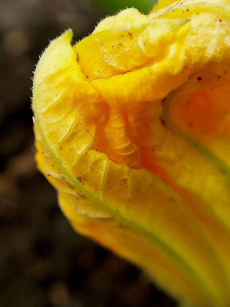 Photograph by Ольга Кирьянова