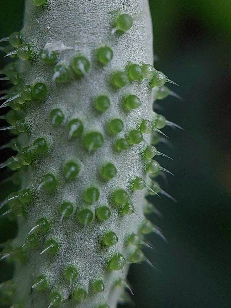 Photograph by Ольга Кирьянова