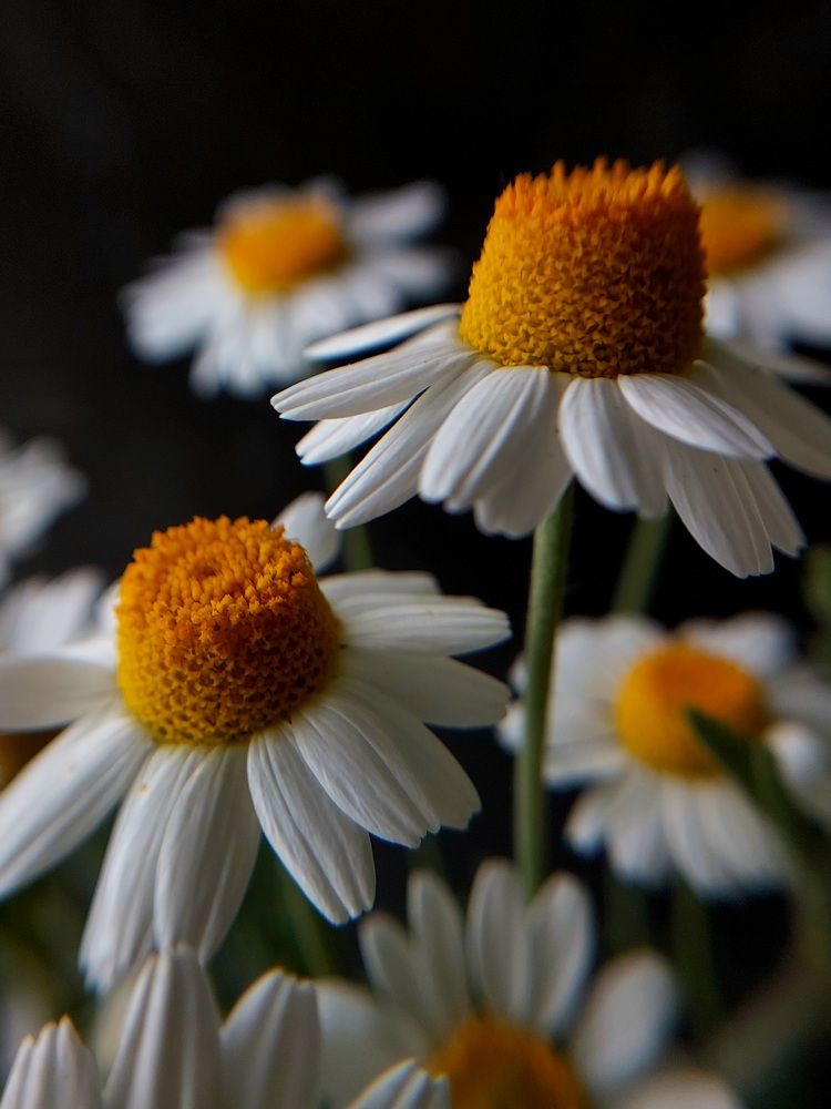 Photograph by Ольга Кирьянова