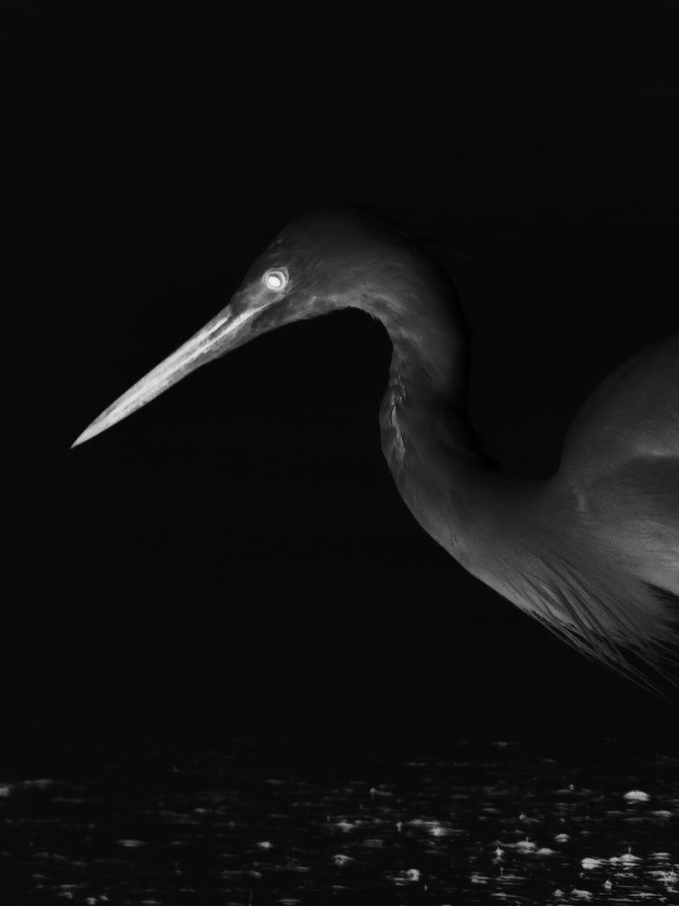 Photograph by Yash Singh