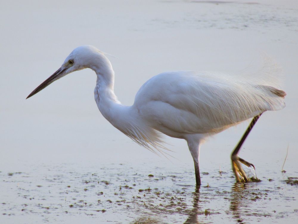 Photograph by Yash Singh