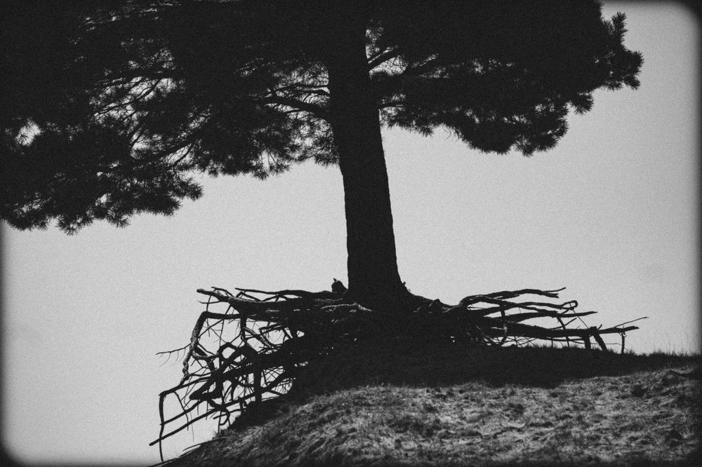 Photograph by - Баялигэ