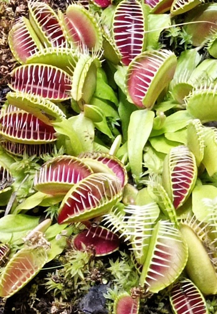 Photograph by Ирина Орлова