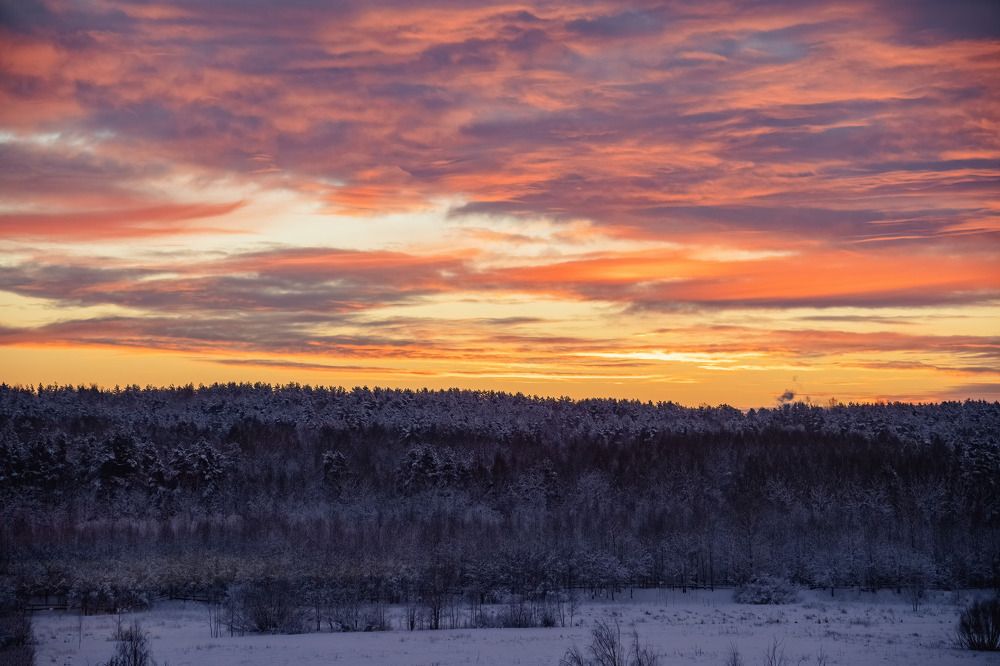 Photograph by Марина Виноградова
