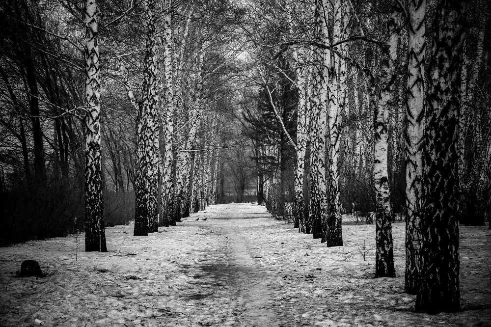 Фотография автора Ivan Karpoff