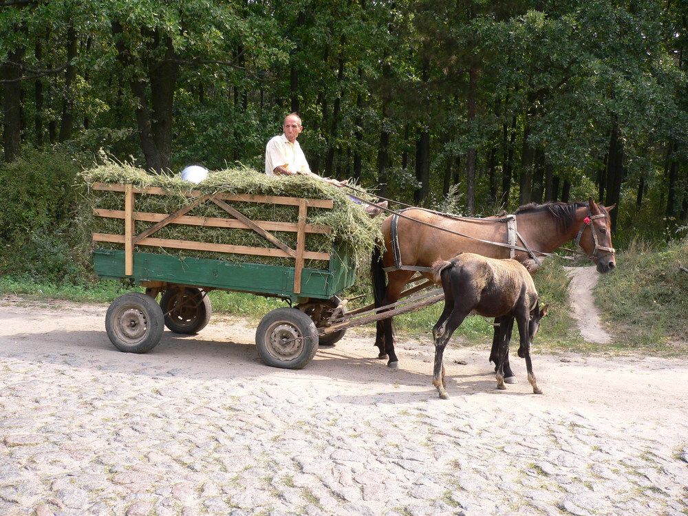 Photograph by Екатерина Хозяшева