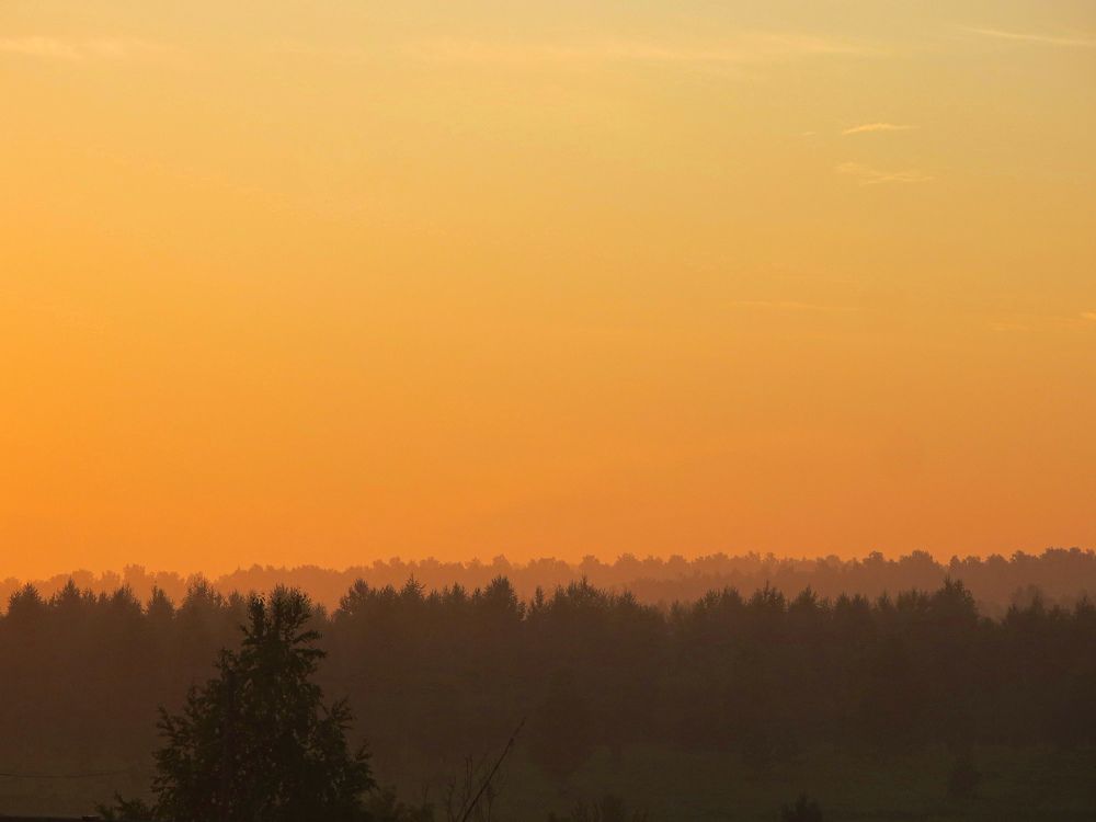 Photograph by Дарья Овсянникова